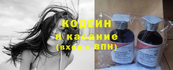 прущие грибы Алзамай