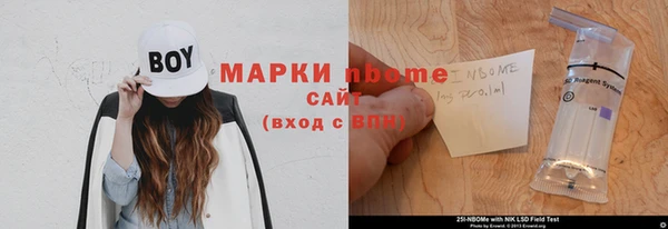 прущие грибы Алзамай
