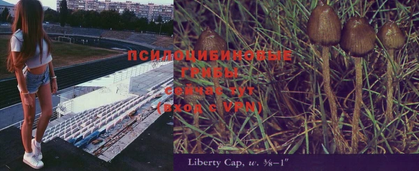 мяу мяу мука Алексин