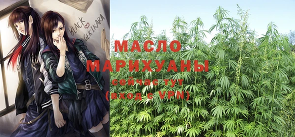 прущие грибы Алзамай